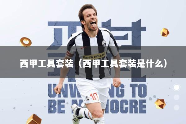 西甲工具套装(西甲工具套装是什么)